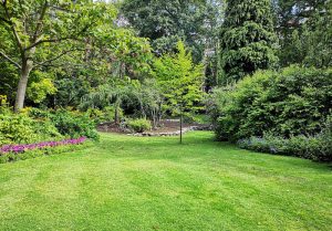 Optimiser l'expérience du jardin à Clevilliers